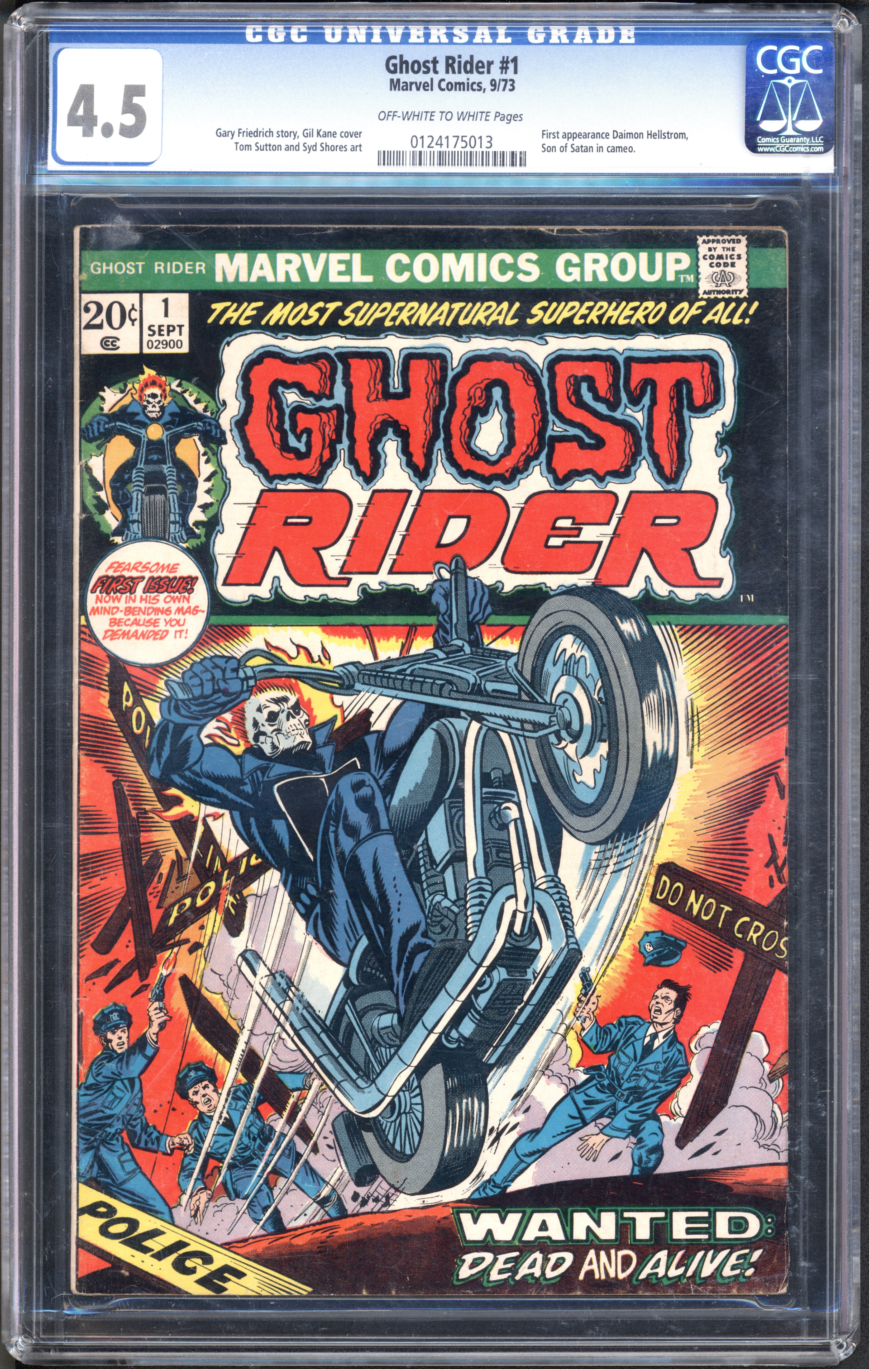 VIM_grade_cgc-4-5-0124175013