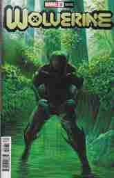 VIM_grade_nm-alex-ross-variant