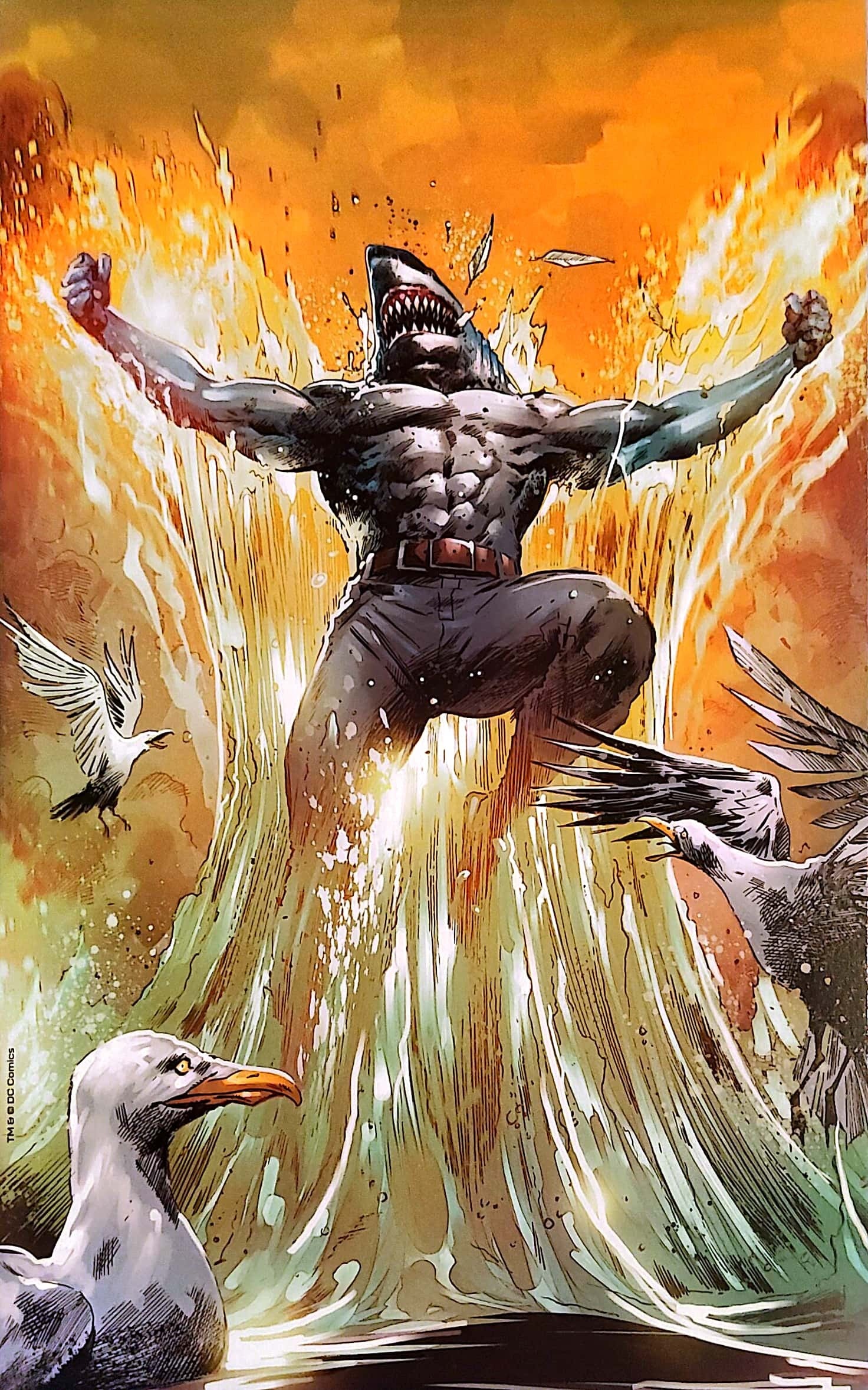 VIM_grade_fcbd-virgin-variant