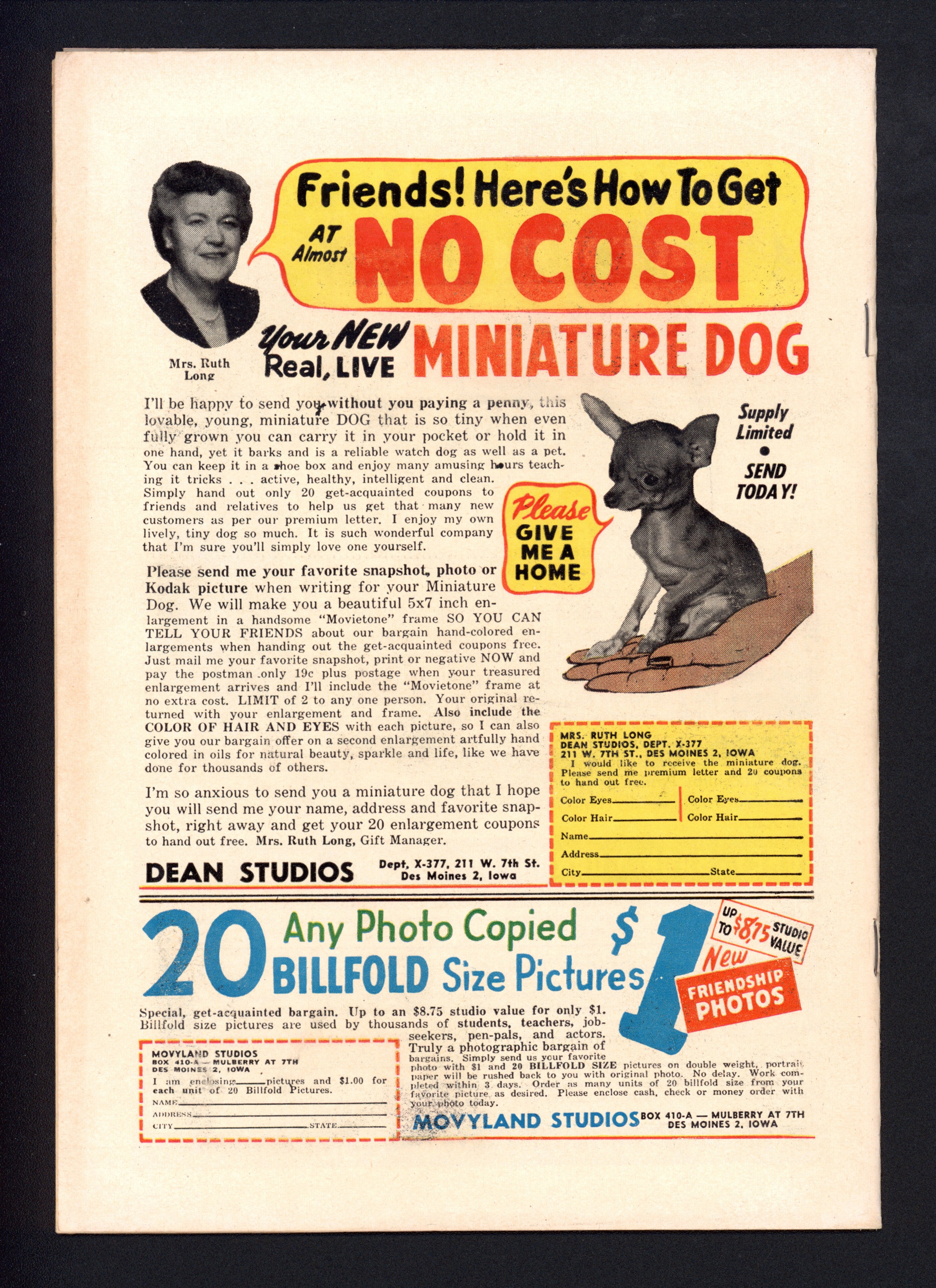 VIM_grade_f-103449