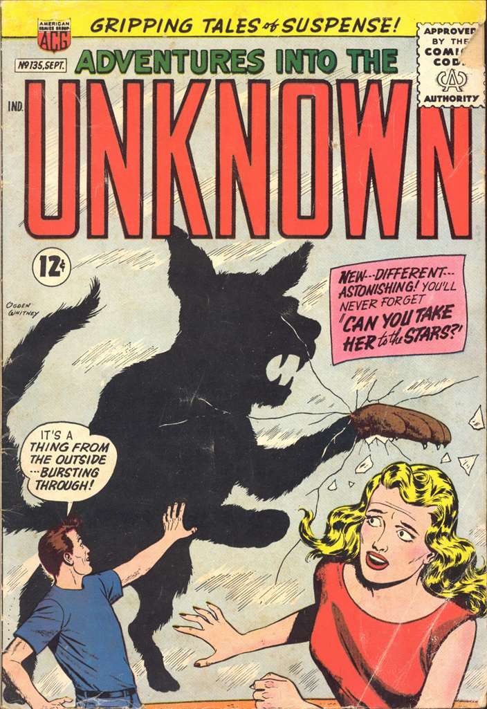 Adventures Into the Unknown (1948 ACG) #135 Raw