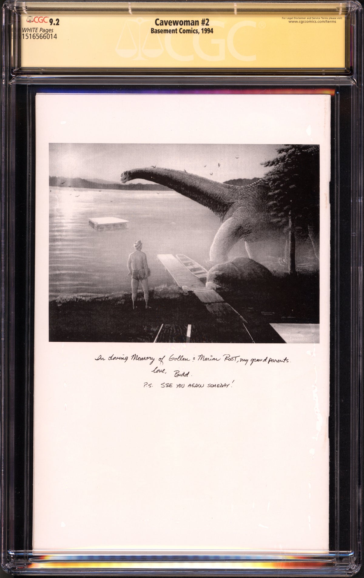 VIM_grade_cgc-9-2-signed-by-budd-root-1516566014