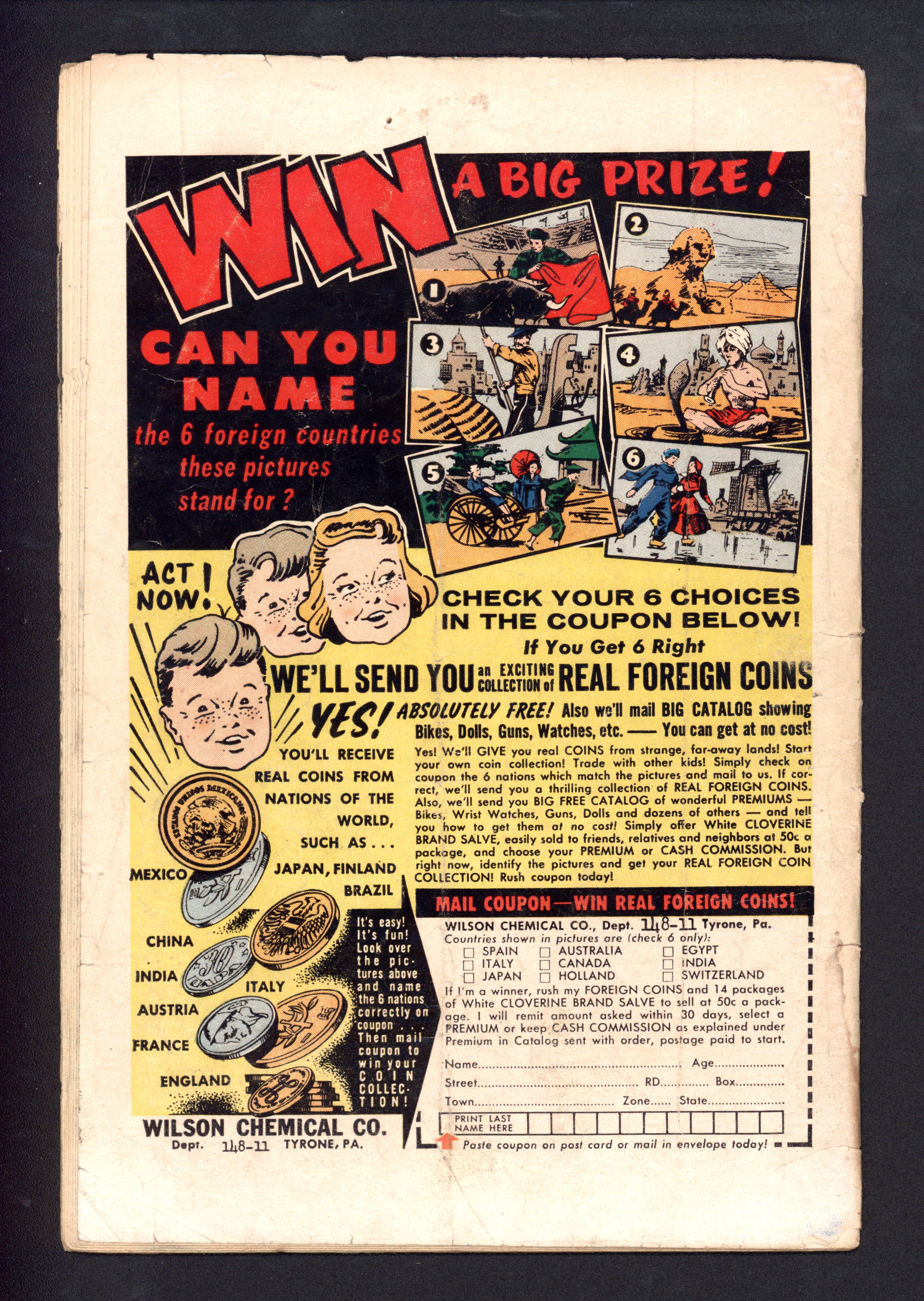VIM_grade_g-300486