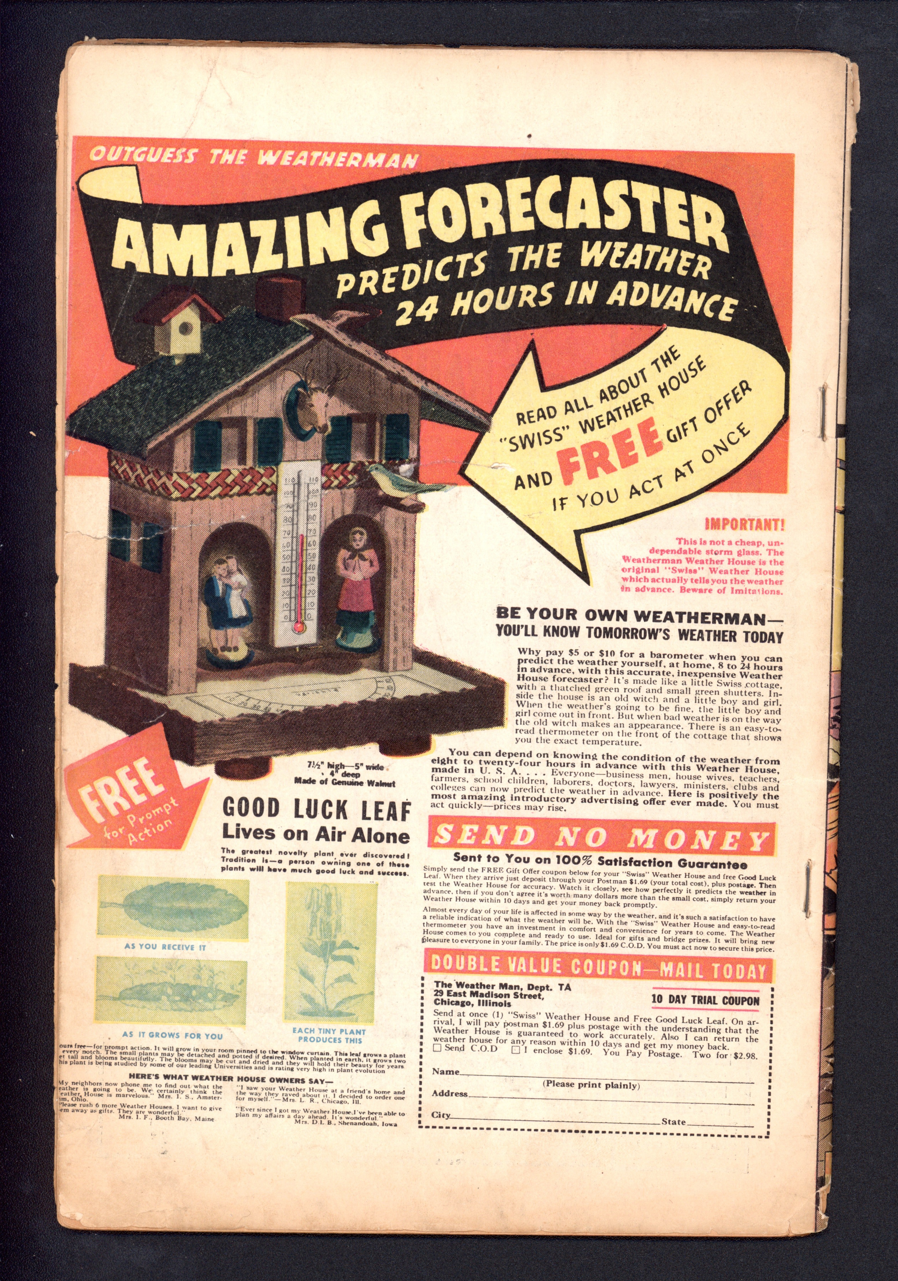 VIM_grade_g-300983