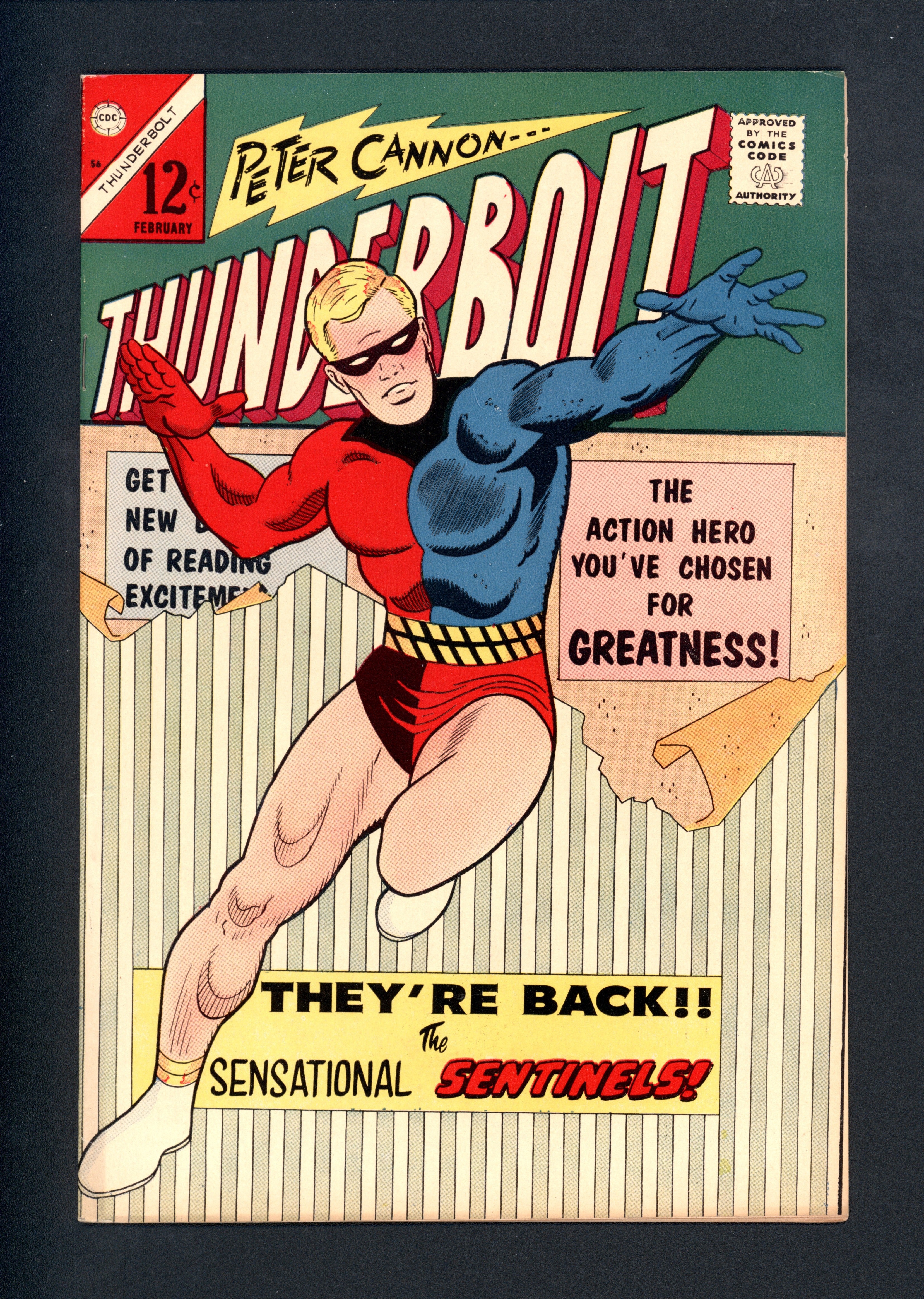 VIM_grade_f-301770