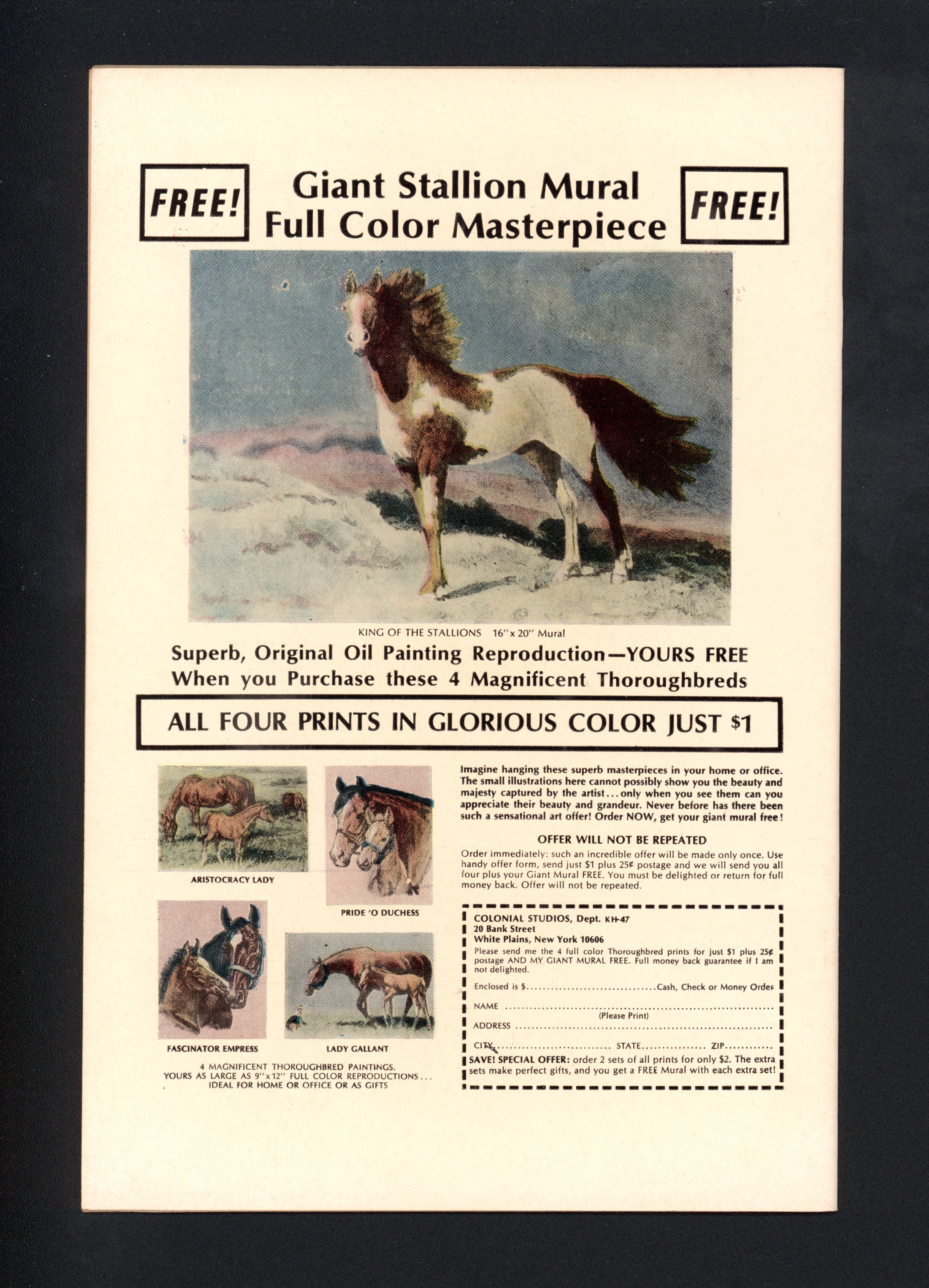 VIM_grade_nm-302675