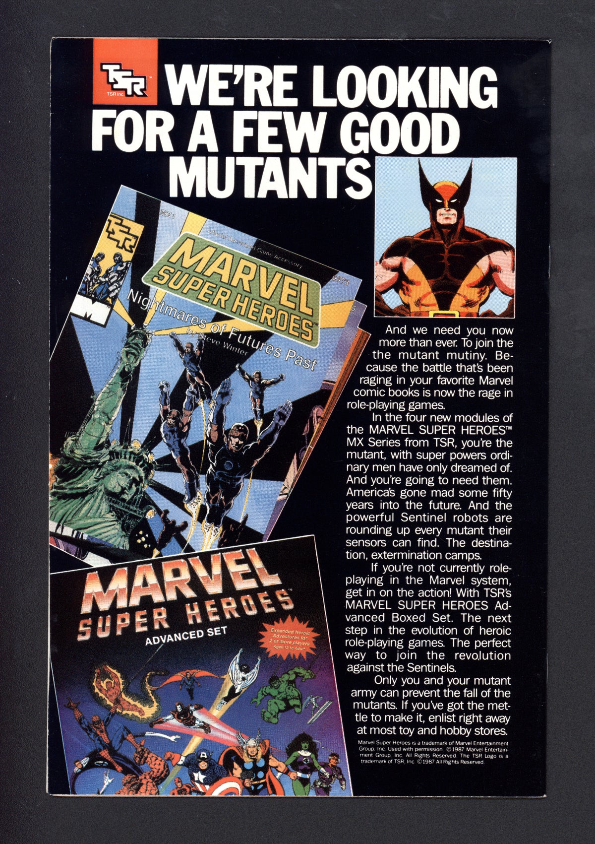 VIM_grade_nm-306295