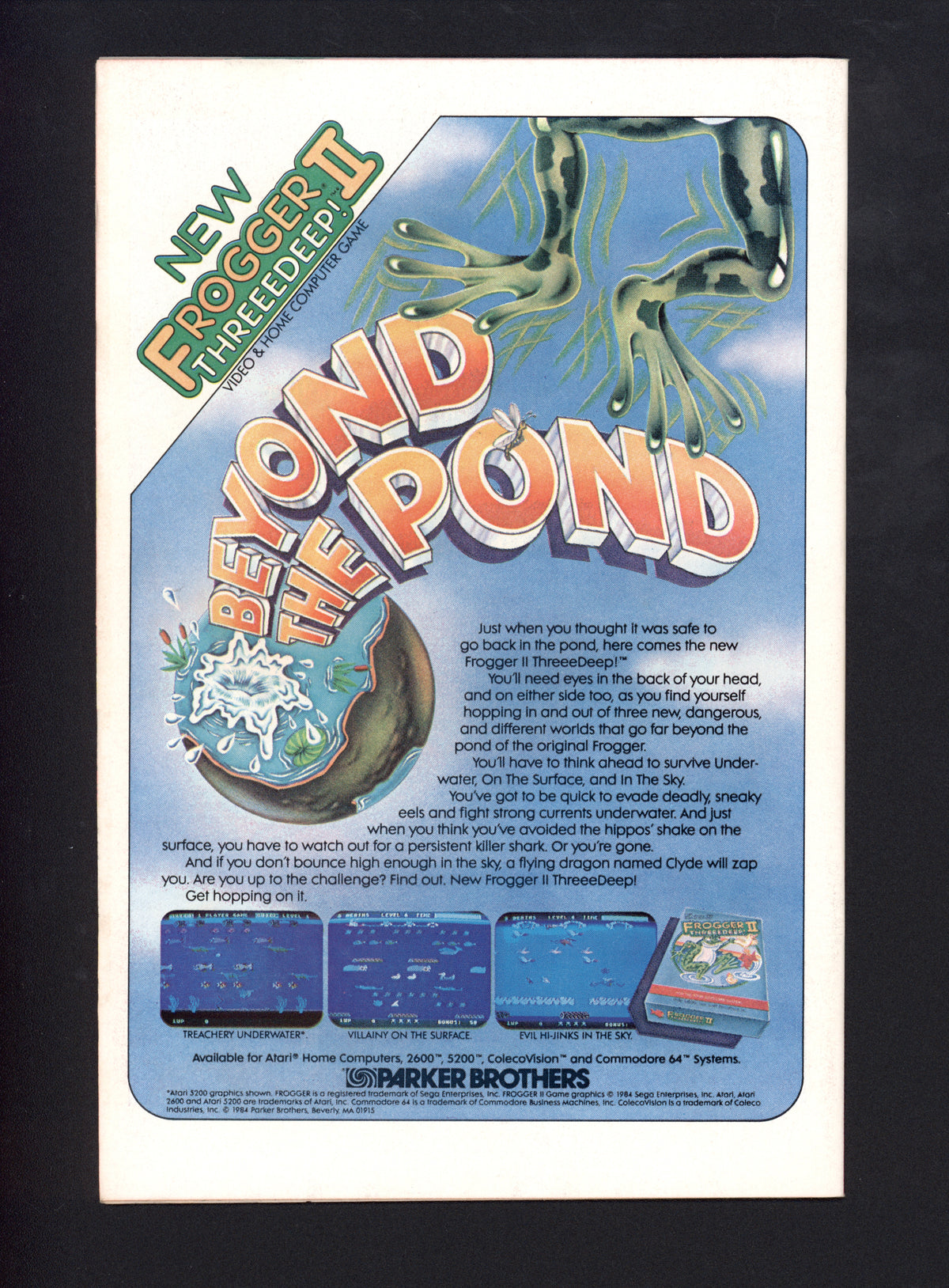 VIM_grade_vf-nm-306335