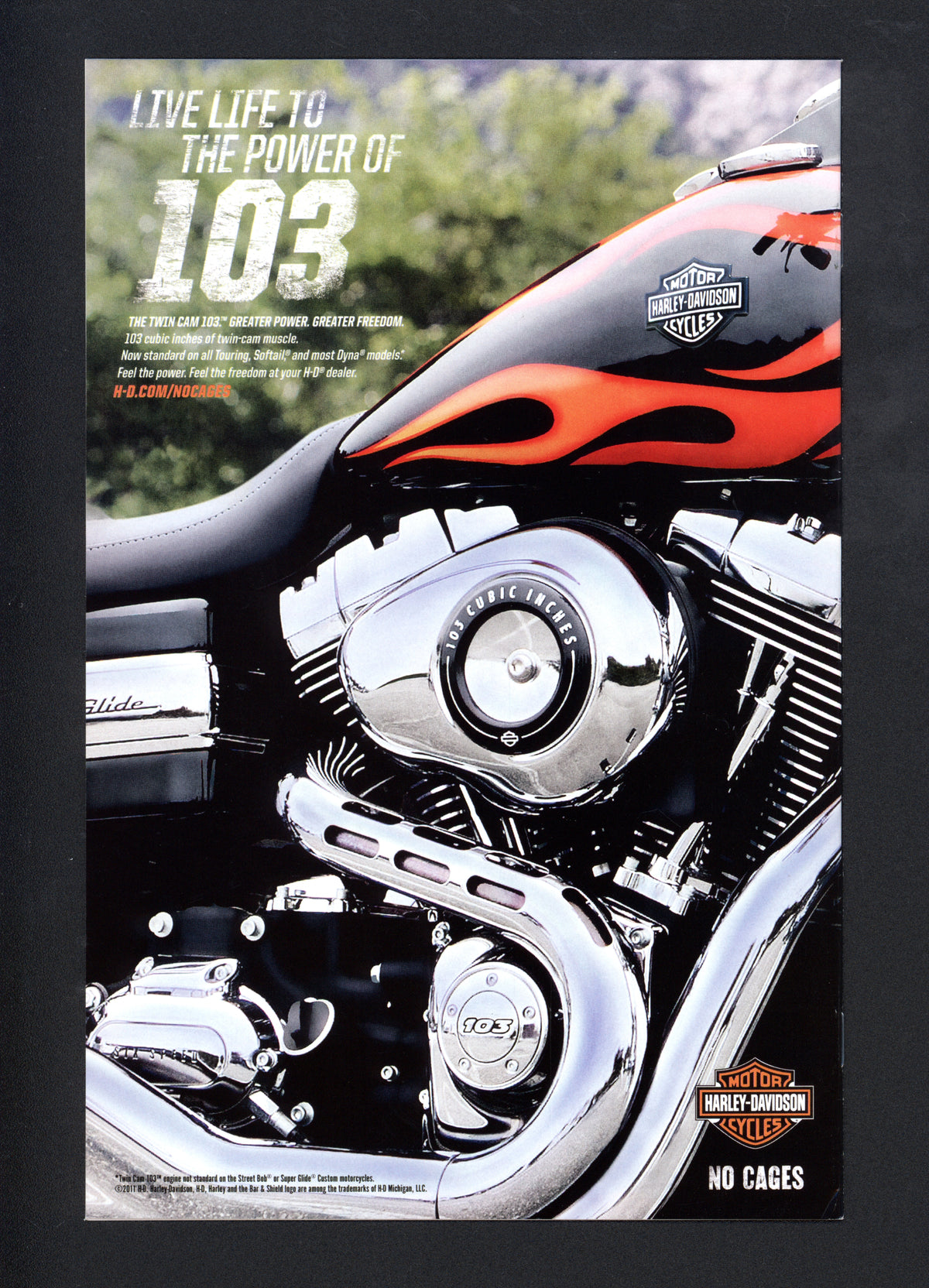 VIM_grade_vf-nm-306351