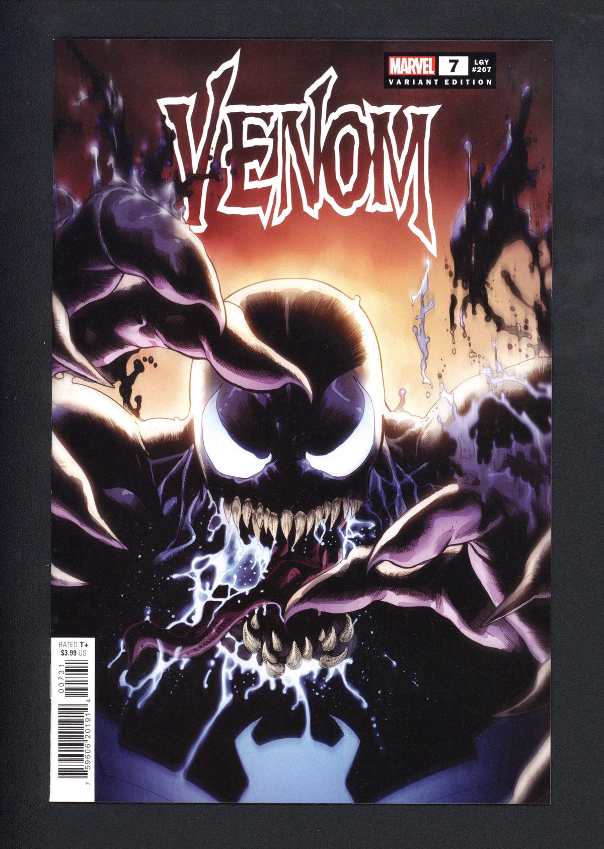 VIM_grade_nm-magno-variant-cover-306362