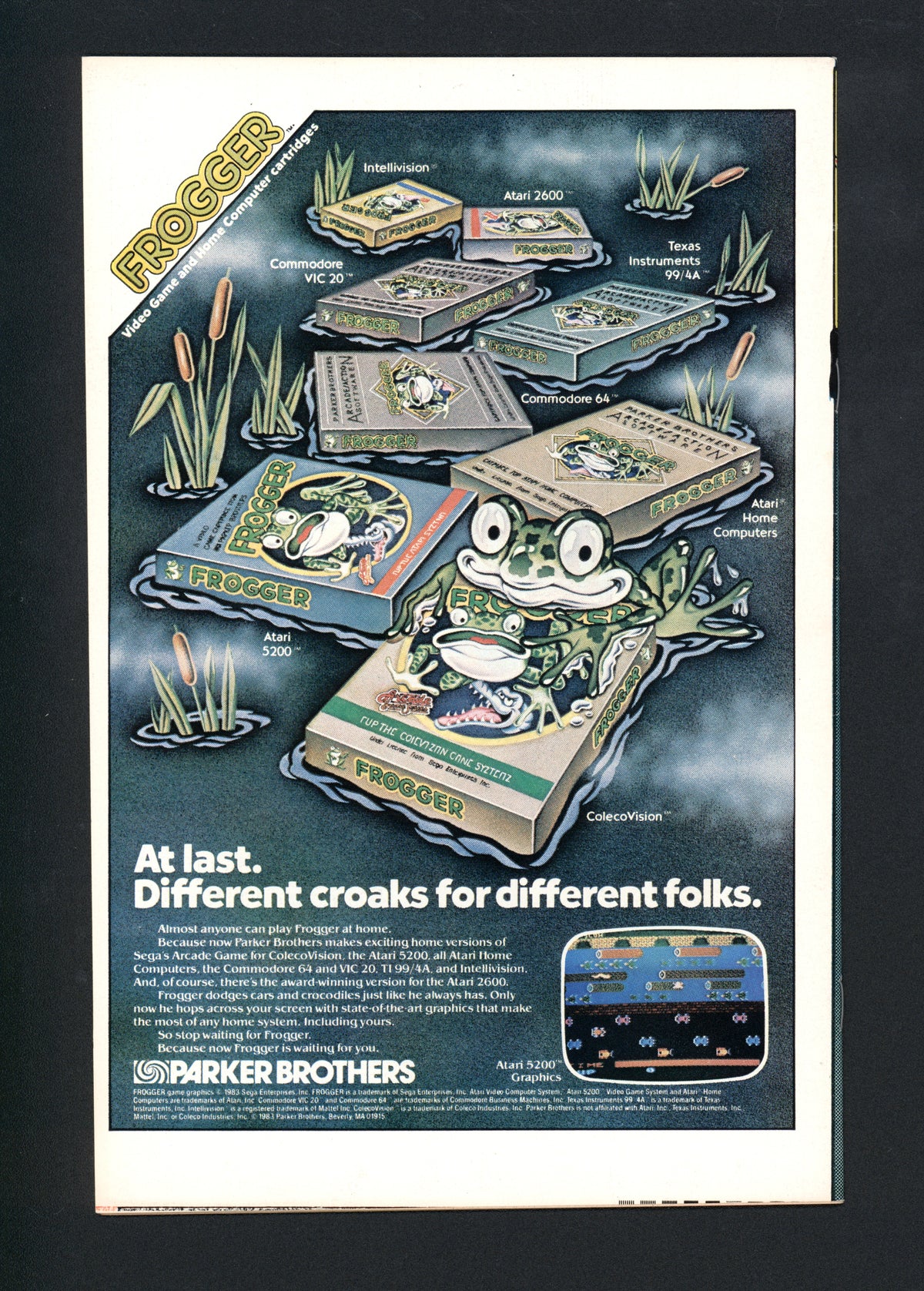 VIM_grade_vf-nm-306981