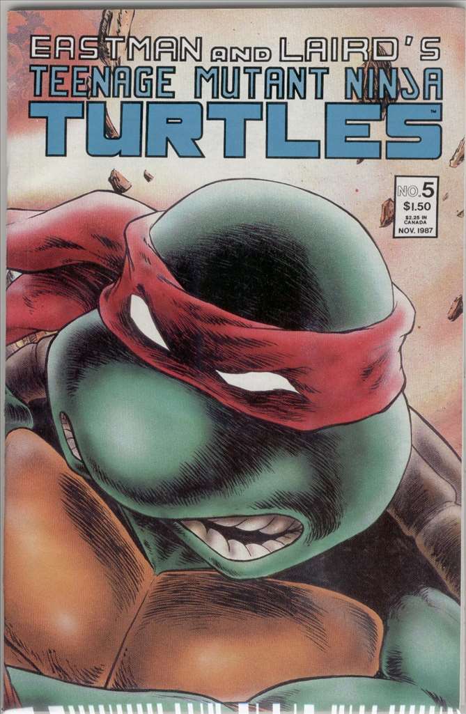 Teenage Mutant Ninja Turtles (1984 1st Series Mirage) #  5 Raw