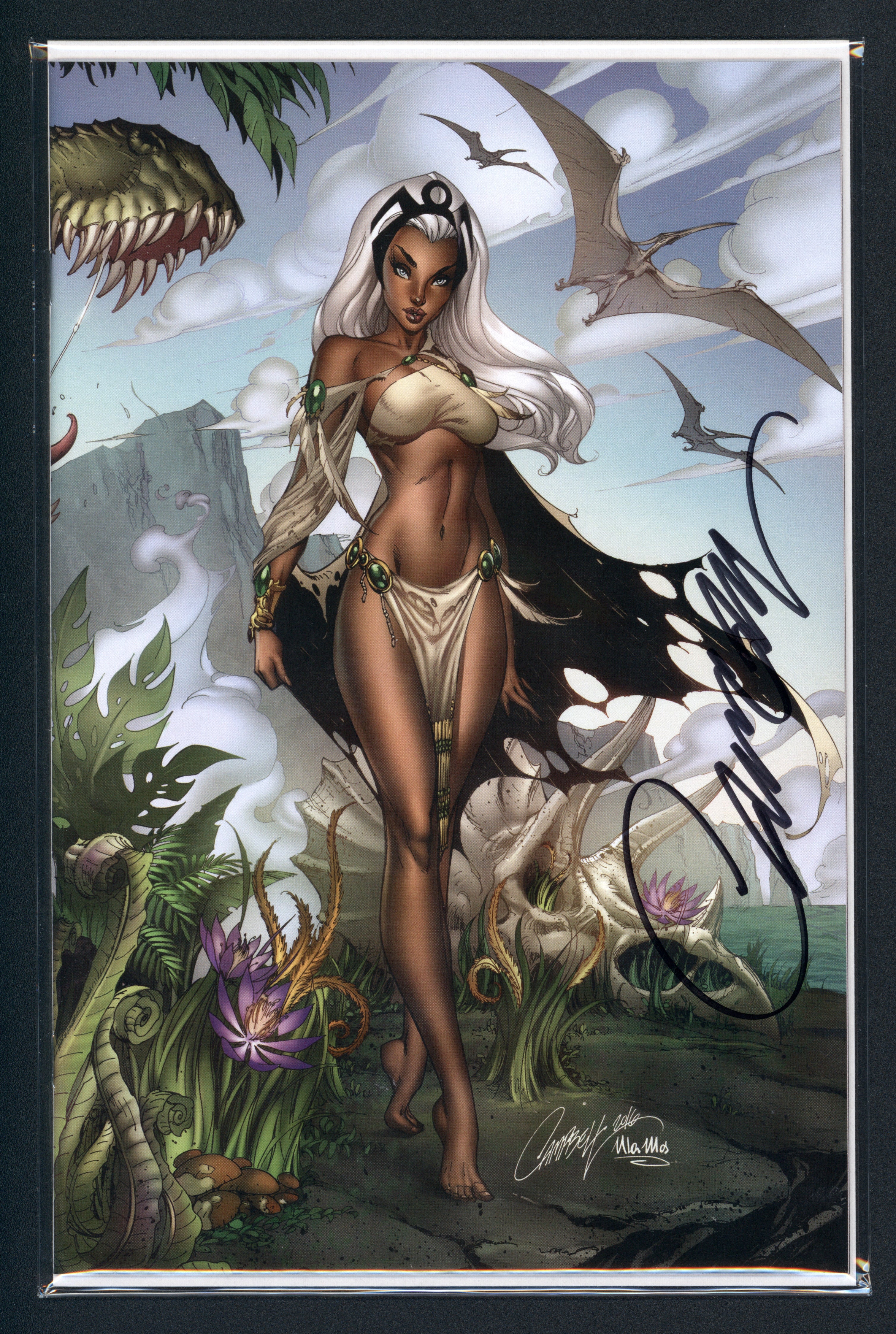 VIM_grade_nm-jscottcampbell-com-edition-d-signed-by-campbell-with-coa-602240