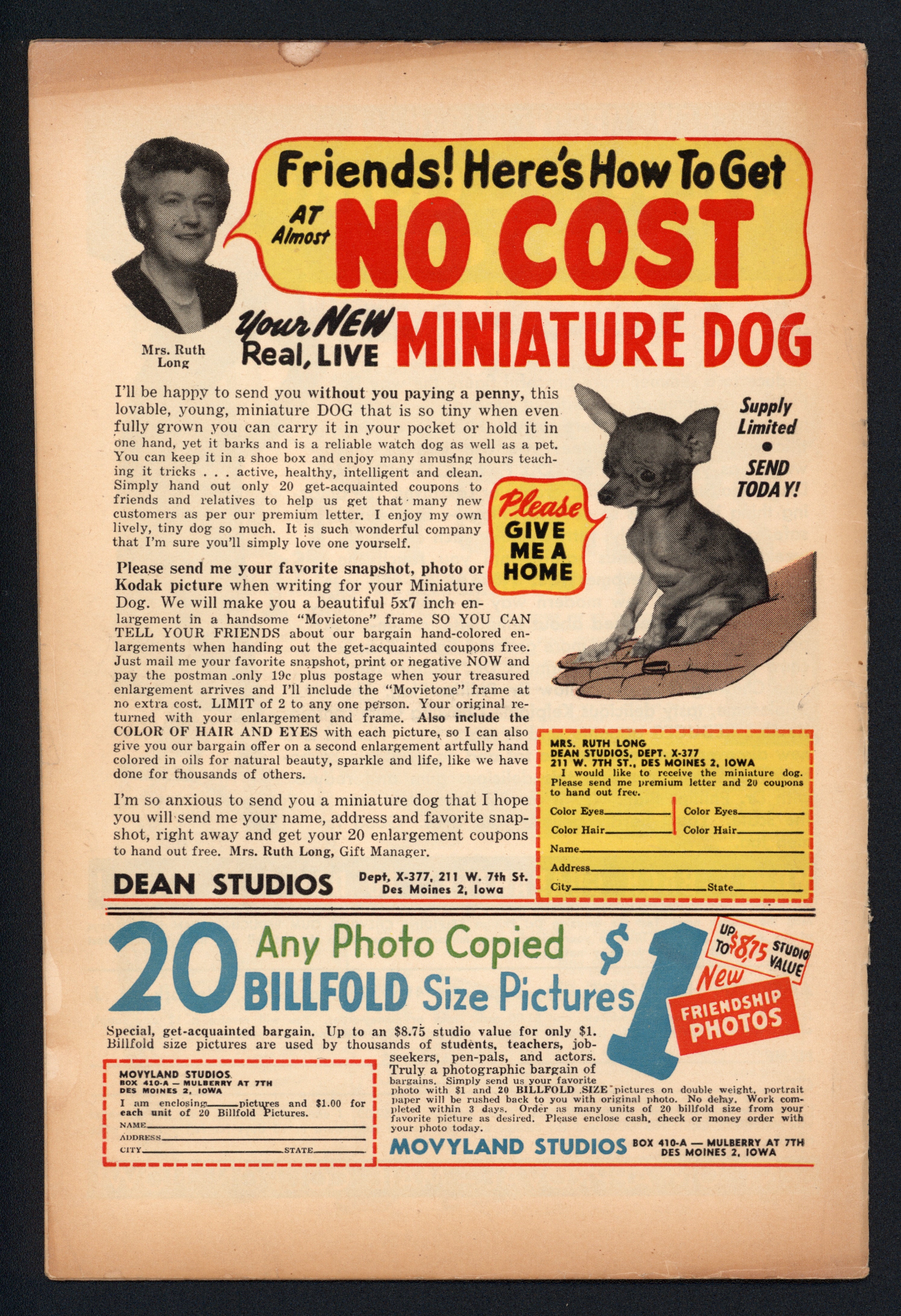 VIM_grade_vg-602263