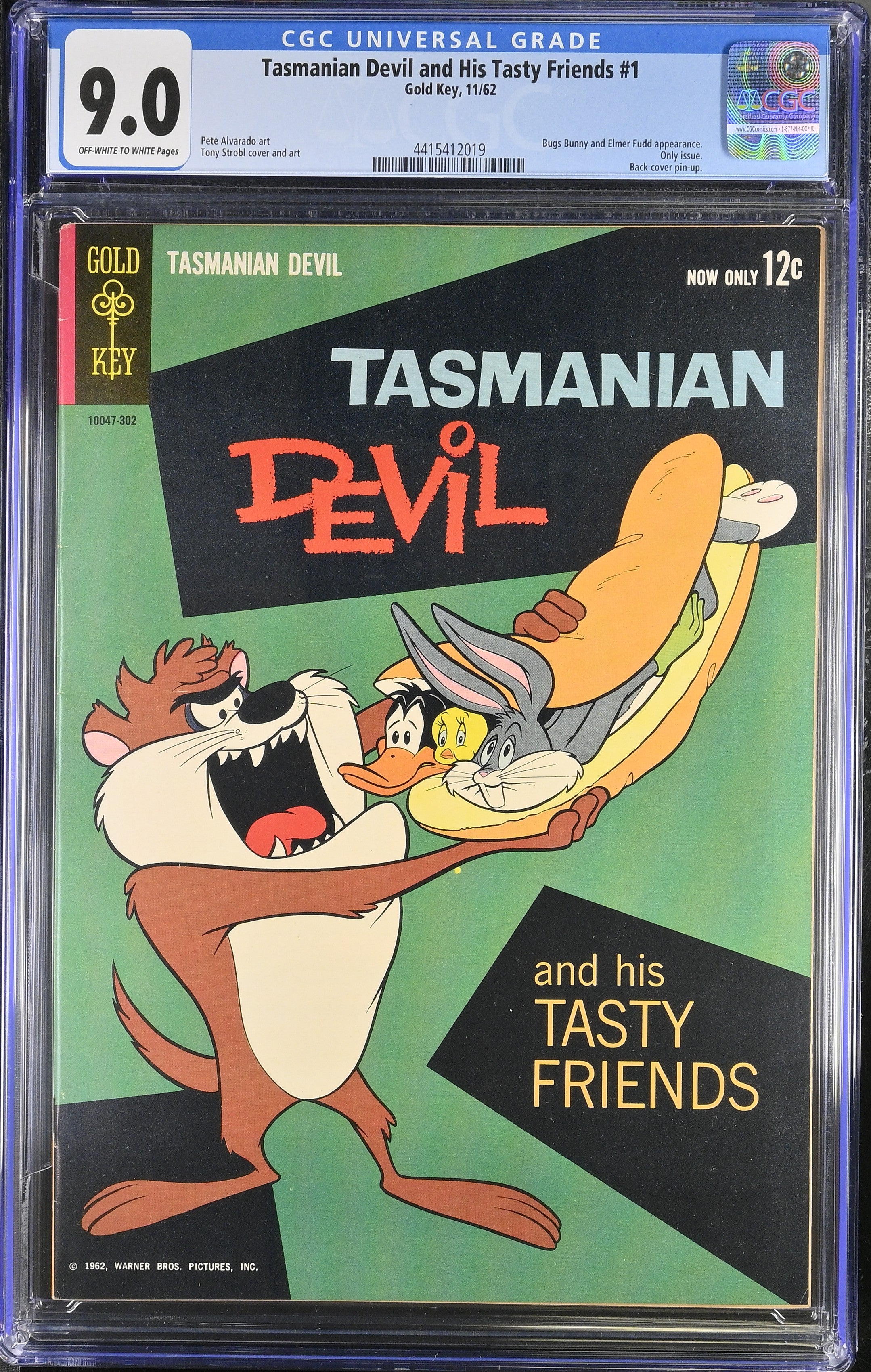 VIM_grade_cgc-9-0-4415412019