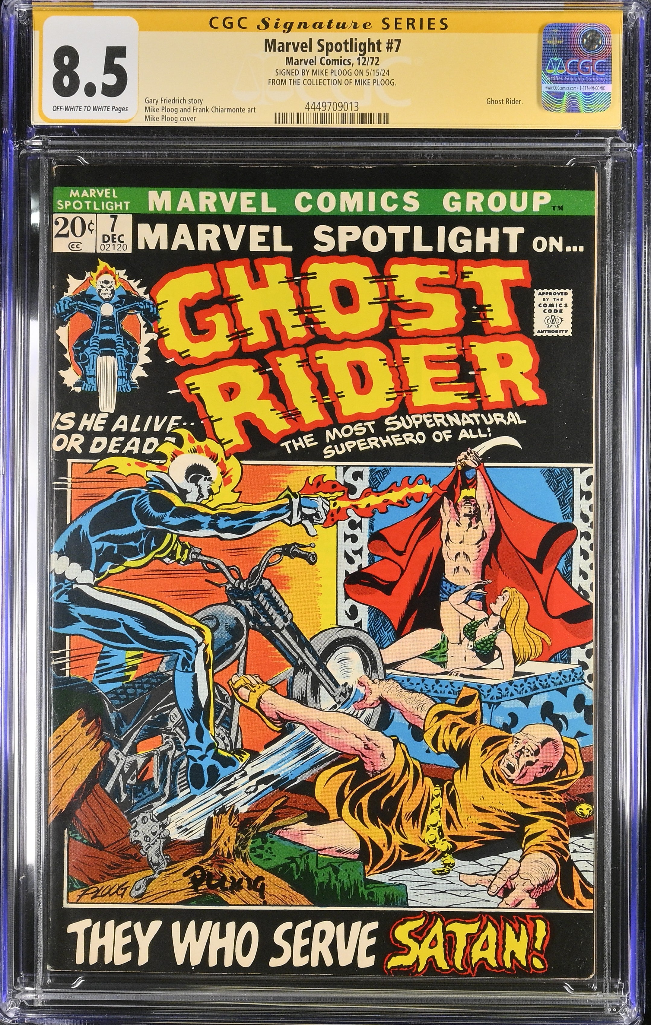 VIM_grade_cgc-8-5-ploog-4449709013
