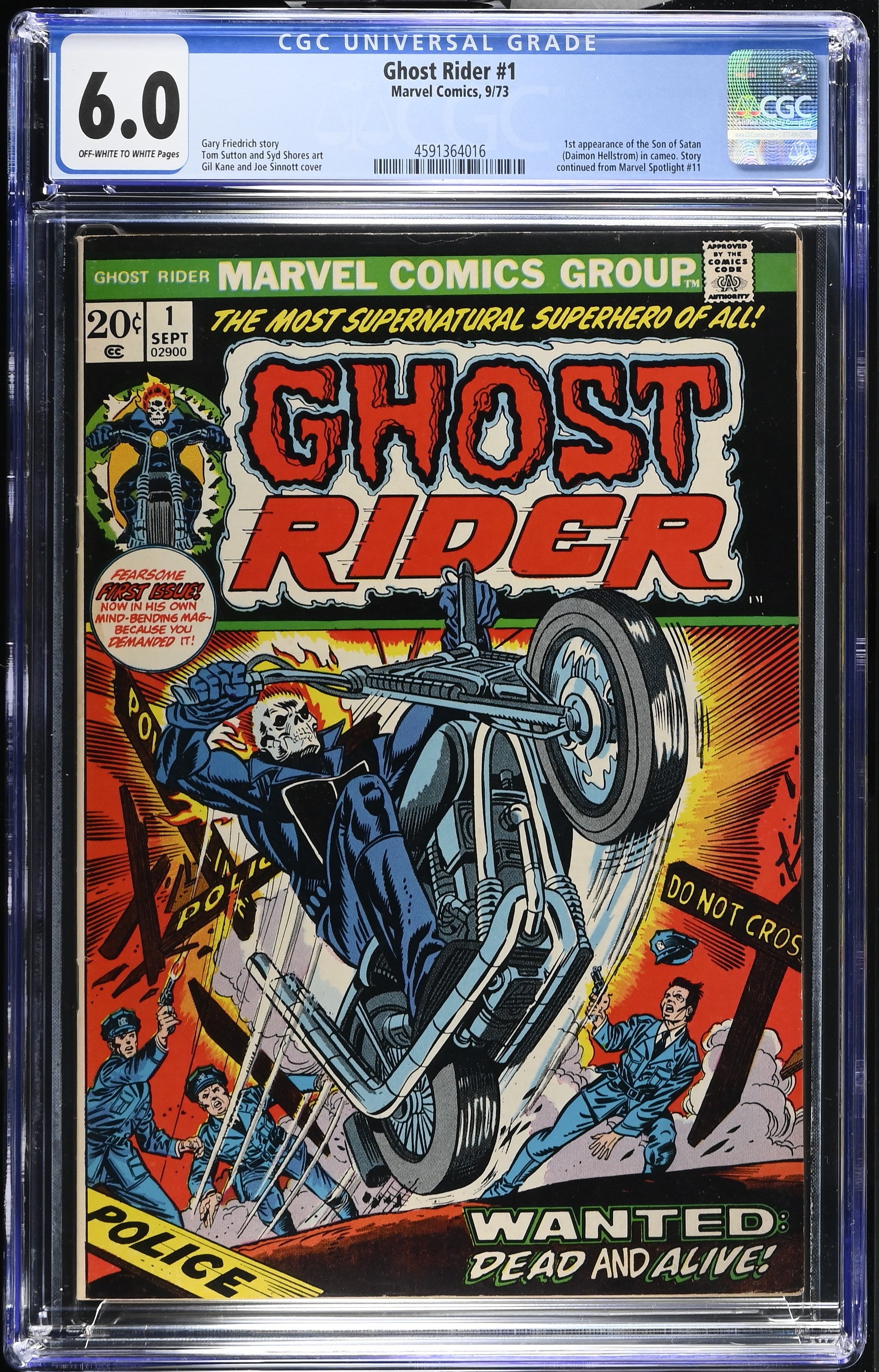 VIM_grade_cgc-6-0-4591364016