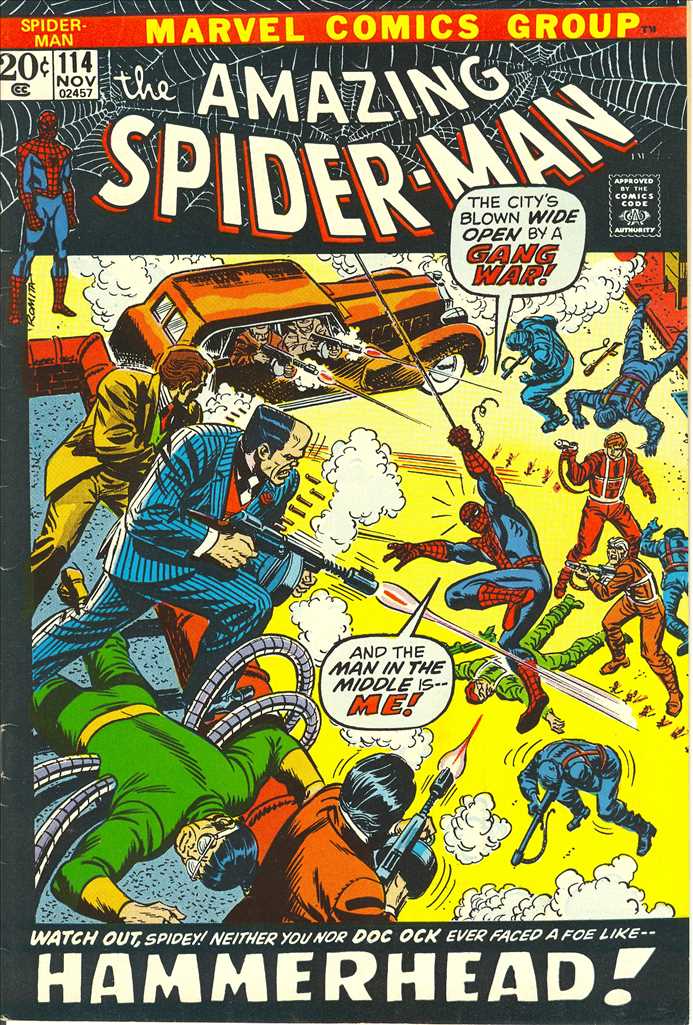 Amazing Spider-Man (1963 1st Series Marvel) #114 Raw